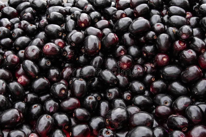 Black Plum (Kala Jamun)